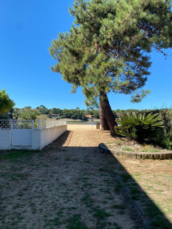Un Cocon Climatise Au Bord Du Lac D'Hossegor 索尔特奥瑟戈尔 外观 照片
